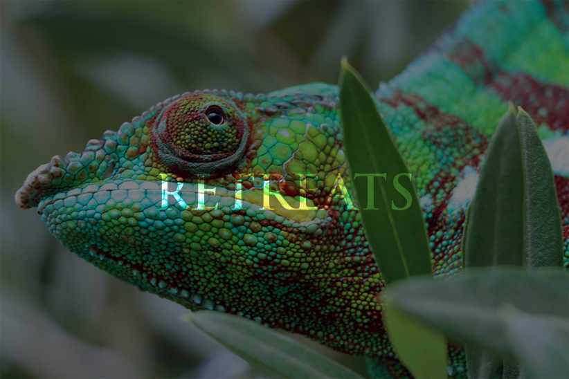 anassa-retreats-service-banner-overlay