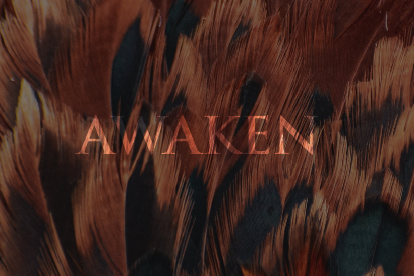 awaken-services-banner-overlay